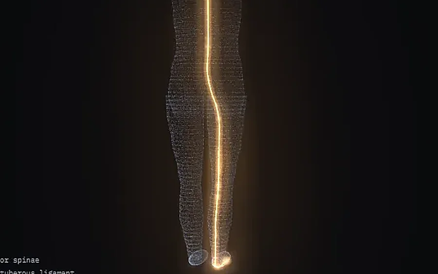 Grafik zum Typ Triggerband